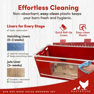 Image showing 5 th RentACoop Big Red Barn Folding Chick Brooder All-in-One Set