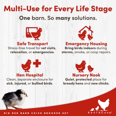 Image showing 7 th RentACoop Big Red Barn Folding Chick Brooder All-in-One Set