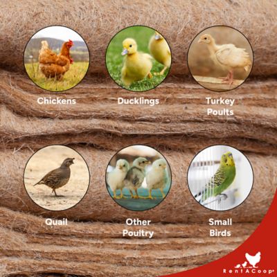 Image showing  Jute Brooder Liners, Big Brooder, 4-Pack
