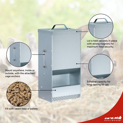 Image showing  Metallic Rabbit Feeder