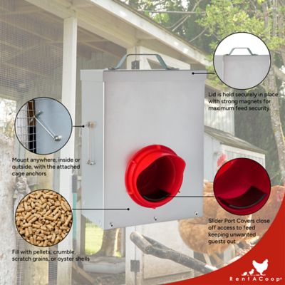 Image showing  Metallic Chick 2 Chicken 1-Port Poultry Feeder