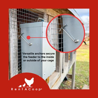 Image showing  Metallic Chick 2 Chicken 1-Port Poultry Feeder