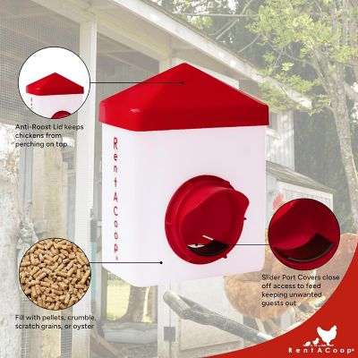 Image showing  Chick 2 Chicken Feeder Waterer Set
