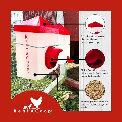 Image showing  Chick 2 Chicken Feeder Waterer Set