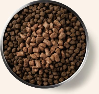 Image showing 6 th Vital Essentials Freeze-Dried Raw Protein Mix-In Beef Recipe Mini Nibs Topper for Dogs, 6 oz