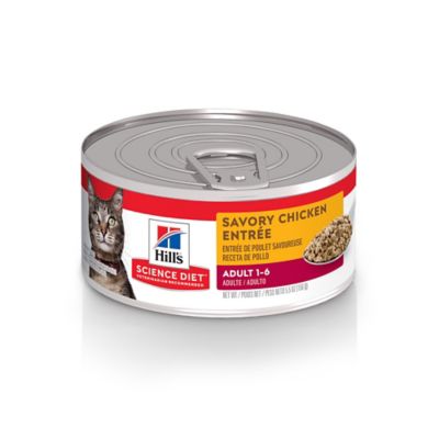 science diet adult cat food