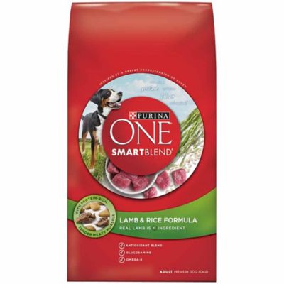 purina one my dog is active