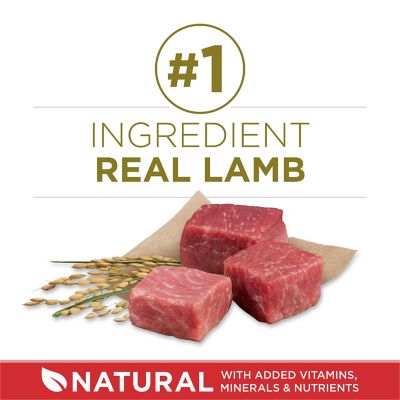 Image showing  SmartBlend Adult Natural Lamb and Rice Formula Dry Dog Food