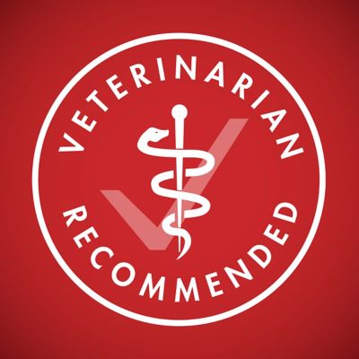 Image showing 6 th Purina ONE SmartBlend Adult Natural Lamb and Rice Formula Dry Dog Food