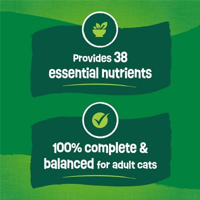 Image showing  Adult Indoor Delights Chicken, Salmon, Cheese and Garden Greens Recipe Dry Cat Food