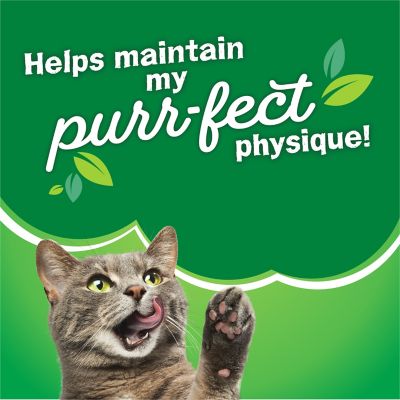 Image showing 9 th Purina Friskies Adult Indoor Delights Chicken, Salmon, Cheese and Garden Greens Recipe Dry Cat Food