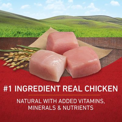 Image showing  SmartBlend Adult Natural Chicken and Rice Formula Dry Dog Food