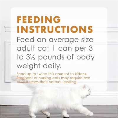 Image showing 7 th Purina Fancy Feast Tender Adult Grain-Free Liver and Chicken Feast Pate Wet Cat Food, 3 oz.