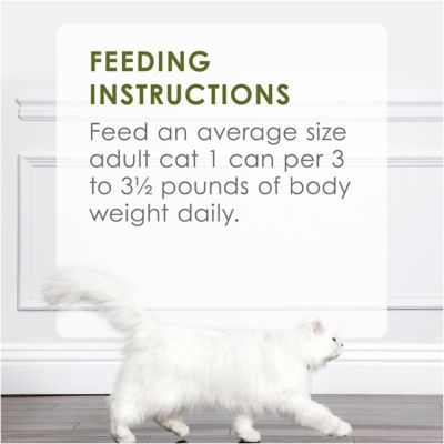 Image showing 7 th Purina Fancy Feast All Life Stages Grain-Free Turkey and Giblets Feast Pate Wet Cat Food, 3 oz. Can