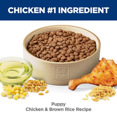 Image showing 5 th Hill's Science Diet Puppy Chicken and Brown Rice Recipe Dry Dog Food