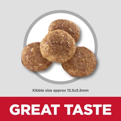 Image showing  Large Breed Puppy Chicken and Brown Rice Recipe Dry Dog Food