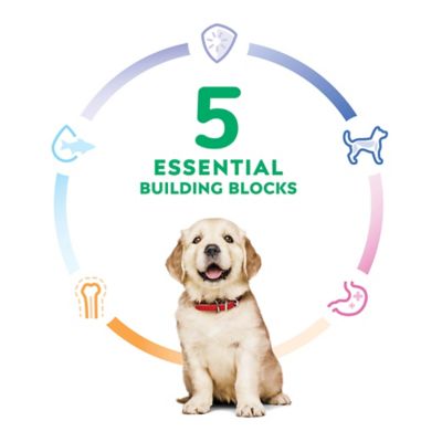 Image showing  Large Breed Puppy Chicken and Brown Rice Recipe Dry Dog Food