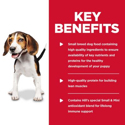 Image showing  Puppy Chicken and Barley Entree Recipe Wet Dog Food, 13 oz.