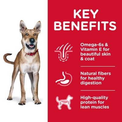 Image showing  Adult Chicken and Barley Recipe Dry Dog Food