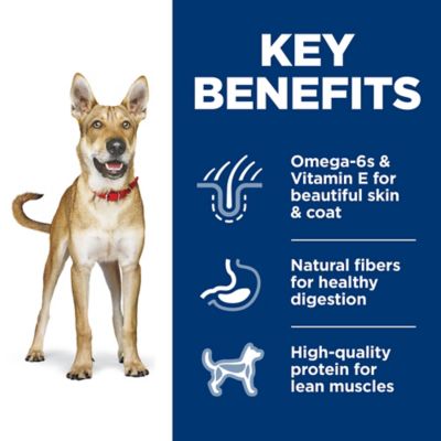 Image showing  Adult Chicken and Barley Recipe Dry Dog Food