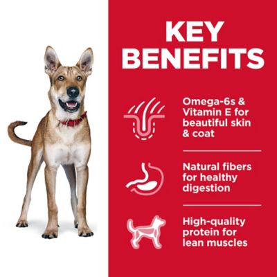 Image showing  Adult Chicken and Barley Recipe Dry Dog Food