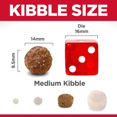 Image showing  Adult Chicken and Barley Recipe Dry Dog Food