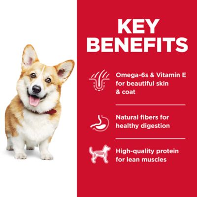 Image showing  Adult Small Bites Chicken and Barley Recipe Dry Dog Food