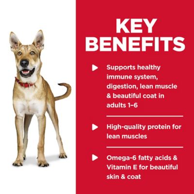 Image showing  Adult Chicken and Barley Chunks Wet Dog Food, 13 oz.