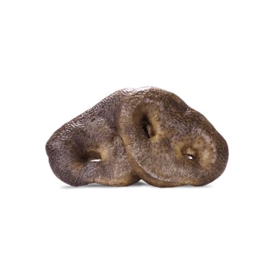 Image showing  RAW BAR Freeze-Dried Raw Pig Snouts Dog Snacks