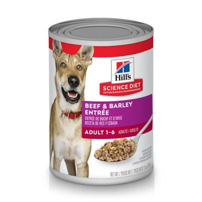 Hill's Science Diet Adult Beef and Barley Chunks Wet Dog Food, 13 oz. Can