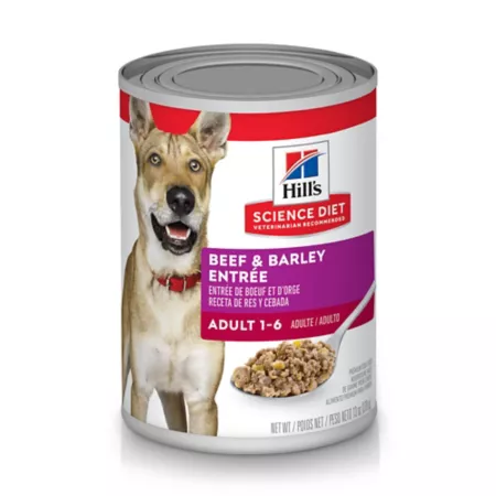 Hill's Science Diet Beef and Barley Chunk Adult Wet Dog Food 13 oz. Wet Dog Food