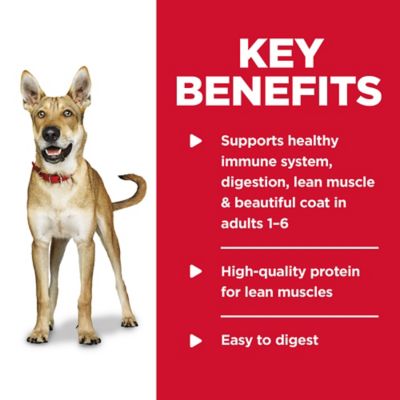 Image showing  Adult Chicken and Beef Chunks Wet Dog Food, 13 oz. Can