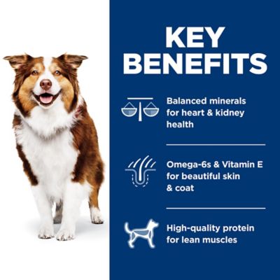 Image showing  Senior Adult 7+ Chicken, Barley and Brown Rice Recipe Dry Dog Food