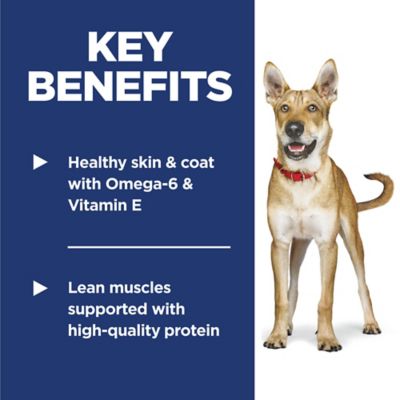 Image showing  Adult Lamb Meal & Brown Rice Recipe Dry Dog Food