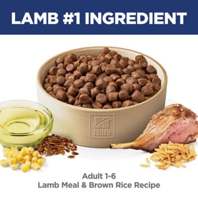 Image showing  Adult Lamb Meal & Brown Rice Recipe Dry Dog Food