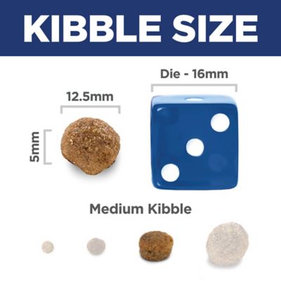 Image showing  Adult Lamb Meal & Brown Rice Recipe Dry Dog Food