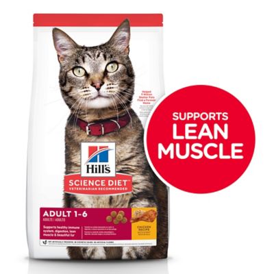 hill's science diet cat food