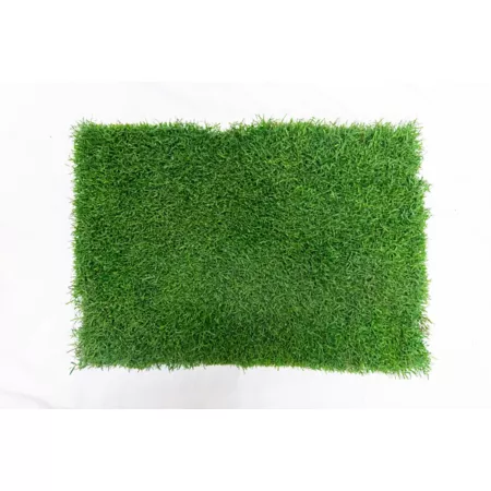 Gotta Go Grass Real Grass Pet Potty Mat with Tray Indoor Pet Potties