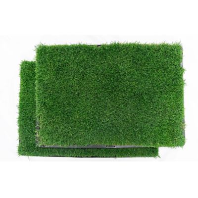 Gotta Go Grass Real Grass Pet Potty Pad 2 pk. with Tray