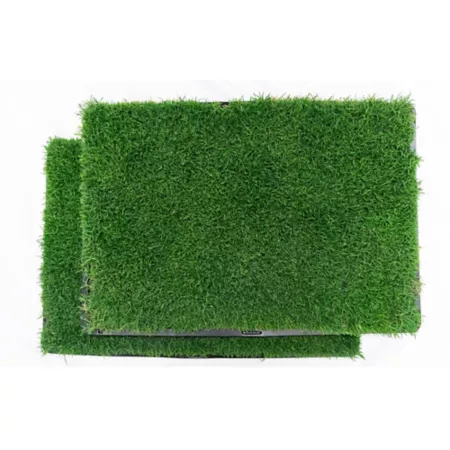 Gotta Go Grass Real Grass Pet Potty Mat 2 Pack with Tray Indoor Pet Potties