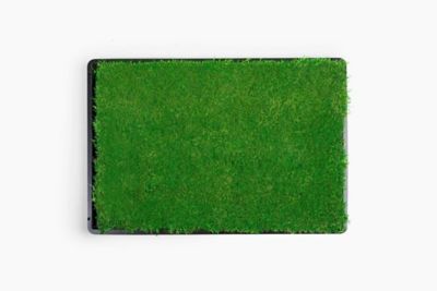 Image showing  Real Grass Pet Potty Pad 2 pk. with Tray