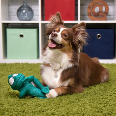 Image showing 5 th goDog Double Chew Guard Technology Chameleon Squeaker Plush Dog Toy, Teal, Medium
