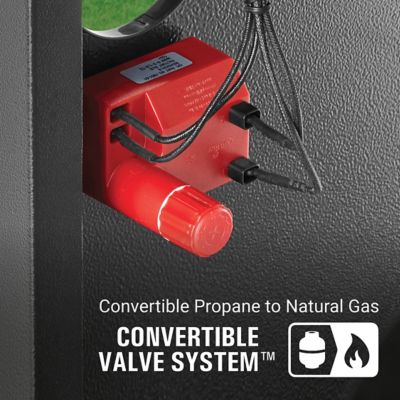 Image showing  2-Burner Revolution Propane and Natural Gas Convertible Grill with 2 Side Shelves, Black