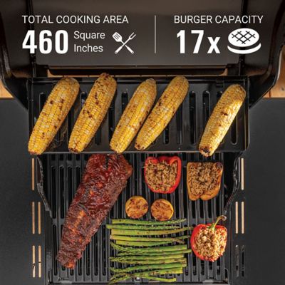 Image showing  2-Burner Revolution Propane and Natural Gas Convertible Grill with 2 Side Shelves, Black