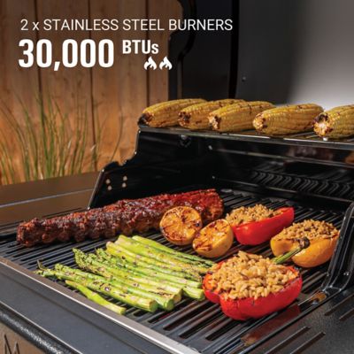 Image showing 6 th Coleman 2-Burner Revolution Propane and Natural Gas Convertible Grill with 2 Side Shelves, Black