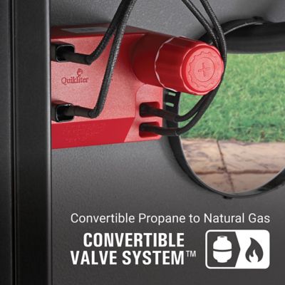 Image showing  4-Burner Revolution Propane and Natural Gas Convertible Grill, Gray, With Side Burner