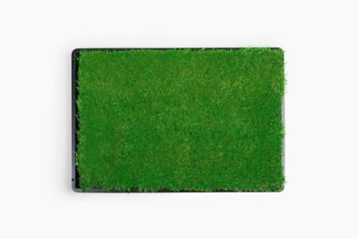 Gotta Go Grass Real Grass Pet Potty Pad Reptile Grass Pad with Tray