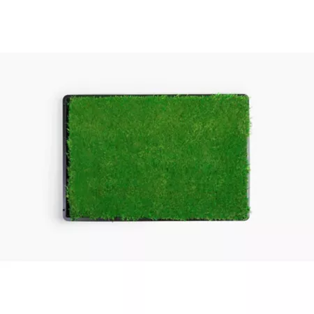 Gotta Go Grass Real Grass Pet Potty Mat Reptile Grass Mat with Tray Indoor Pet Potties