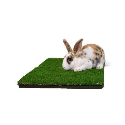 Image showing  Real Grass Pet Potty Pad Small Animal Grass Pad Refill 2 pk.