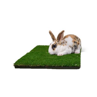 Image showing  Real Grass Pet Potty Pad Small Animal Grass Pad with Tray